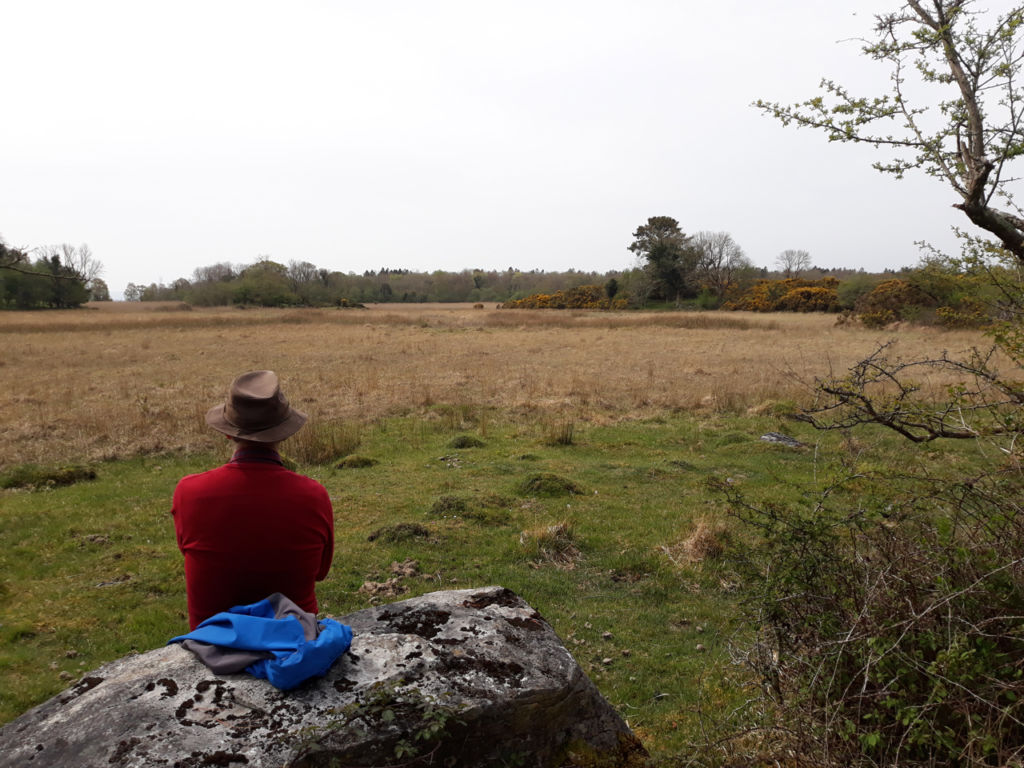 Man sitting and looking at a field