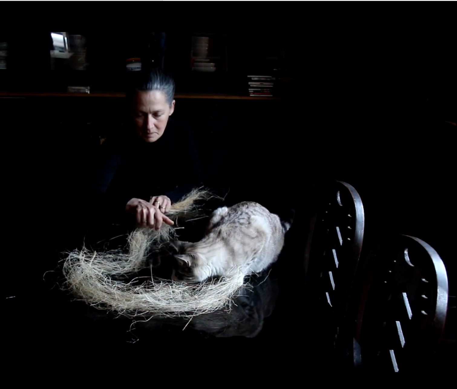 A Pound Of Feathers Creative Ireland Programme a-pound-of-feathers-creative-ireland-programme